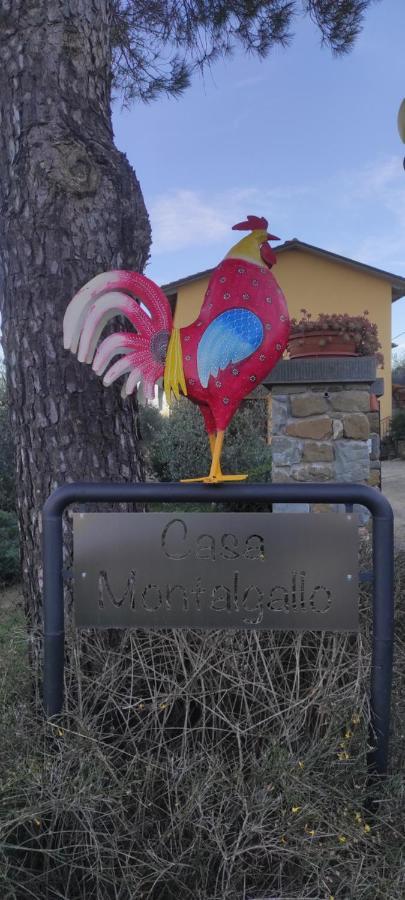 Casa Montalgallo 卢奇尼亚诺 外观 照片